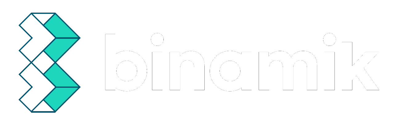 Binamik